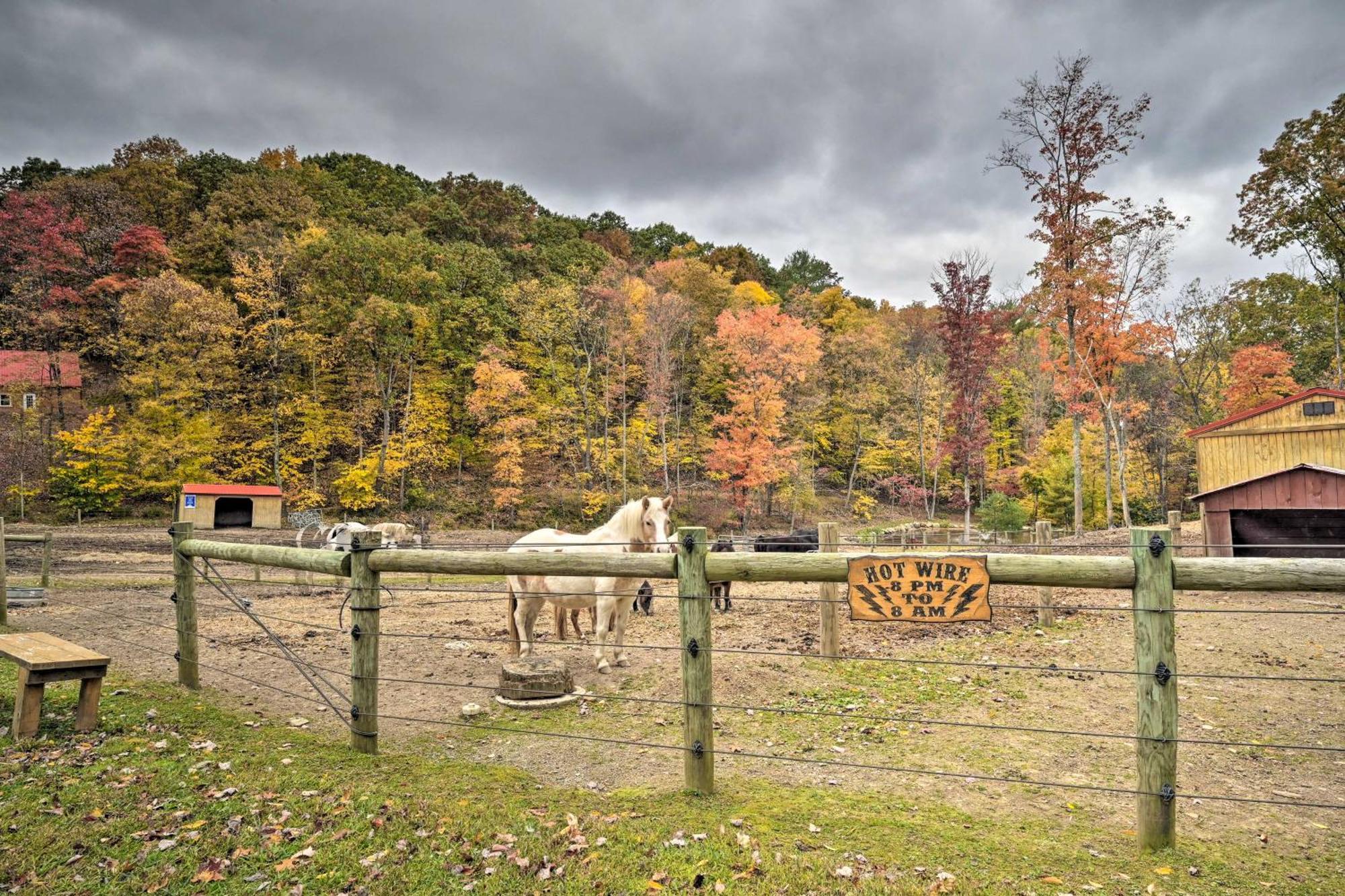 Lucas Mccain Cabin 5 Mi To Raystown Lake Launch! Huntingdon Esterno foto