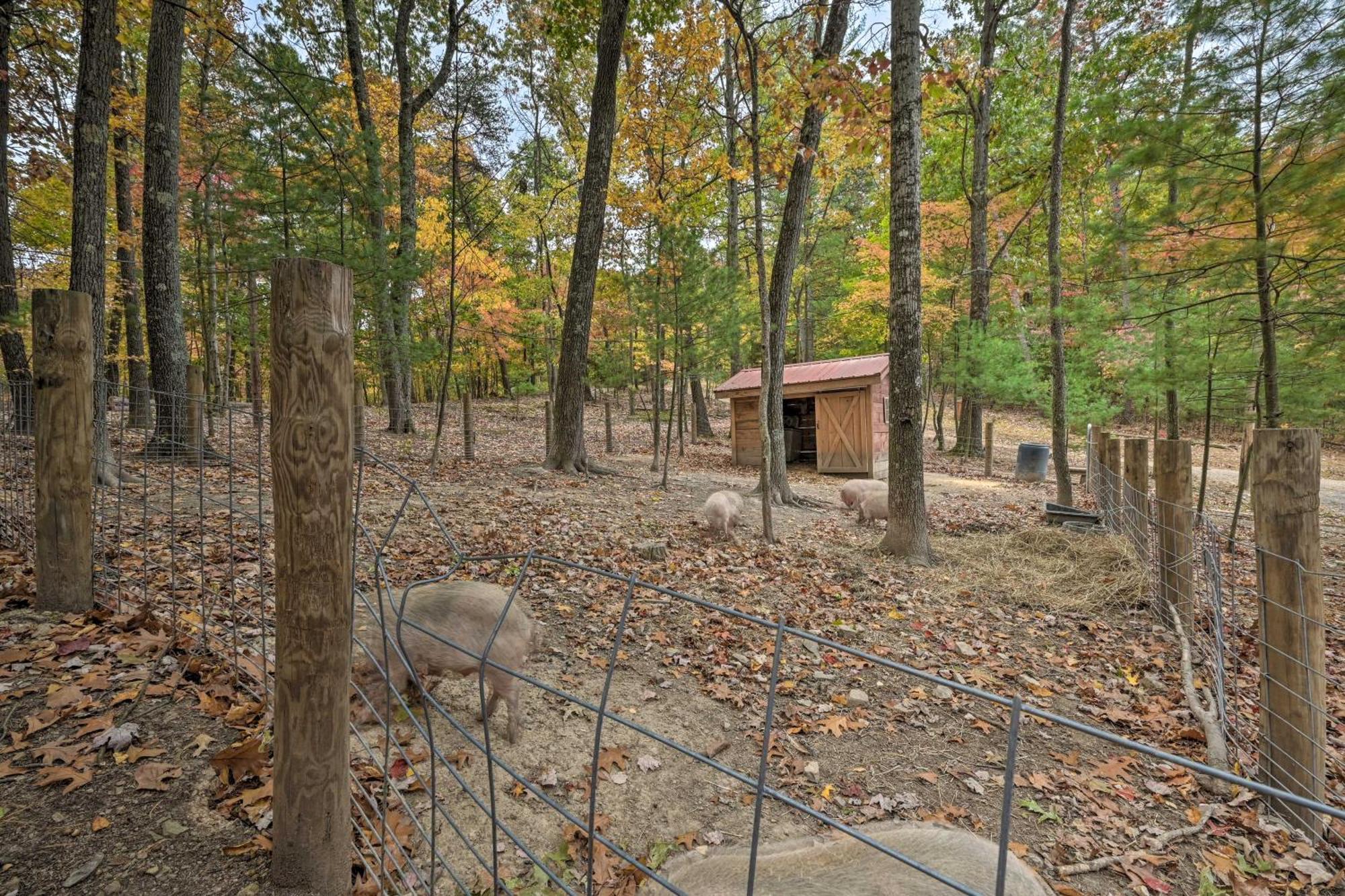 Lucas Mccain Cabin 5 Mi To Raystown Lake Launch! Huntingdon Esterno foto